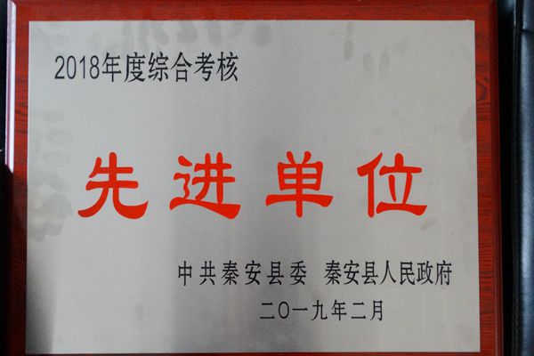 2018年度先进单位_副本.jpg