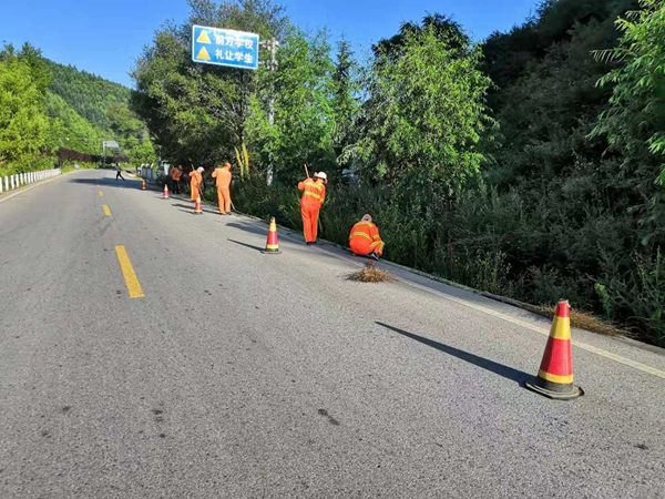 整理路容路貌.JPG