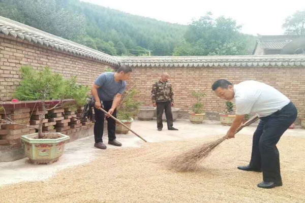 天水局帮扶队员为帮扶户晾晒小麦_副本.jpg